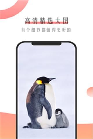 米柚壁纸APP
