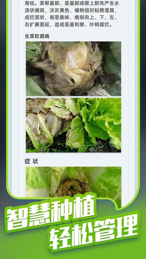 种菜专业户APP