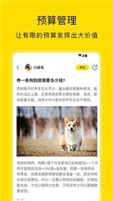 小绒宠物APP