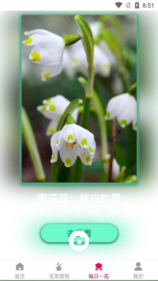 神农百草经APP