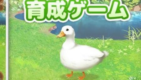 鸭子培养游戏