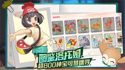 口袋觉醒伴侣小屋游戏