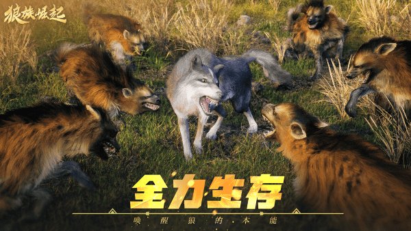 狼族崛起游戏
