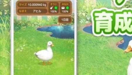 鸭子培养游戏