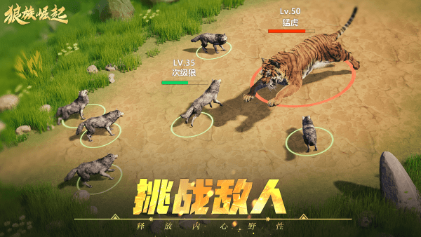 狼族崛起游戏