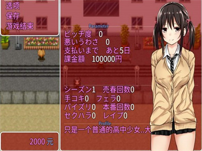 负债少女冷狐版游戏
