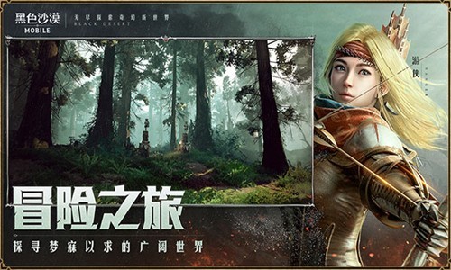 黑色沙漠单机版游戏