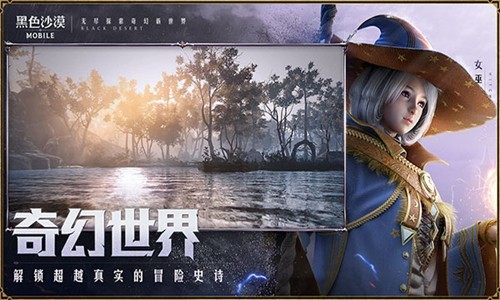 黑色沙漠单机版游戏