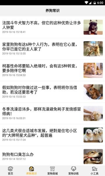 跑狗翻译APP
