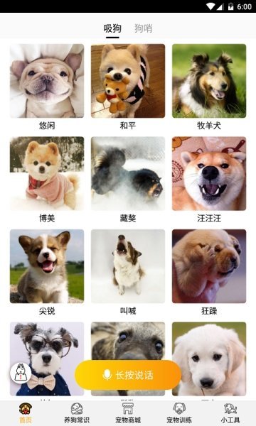 跑狗翻译APP
