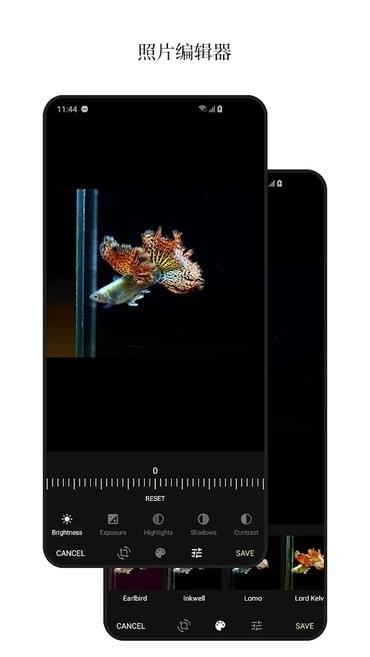 1GalleryAPP