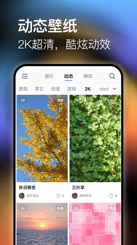 极壁纸APP