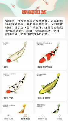 锦鲤有福APP