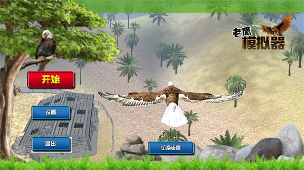 老鹰模拟器正版游戏