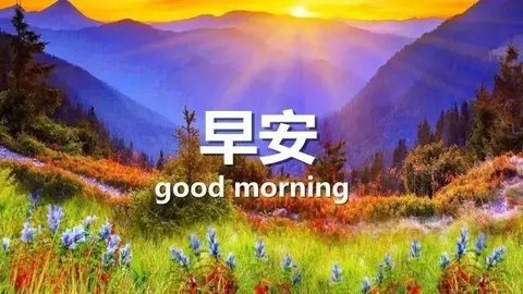 每日精选app大全