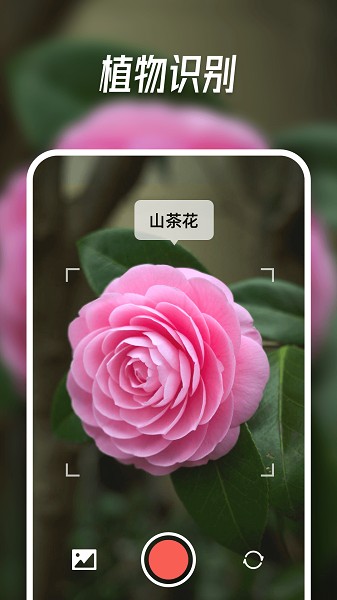 智能识别大师APP