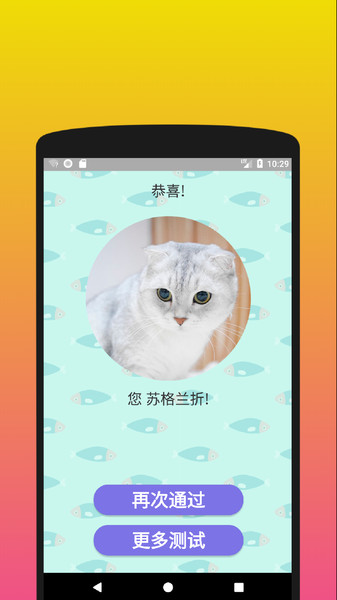你是什么样的猫游戏