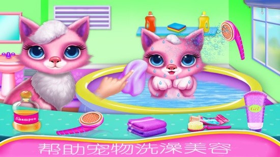 怀孕公主宠物生宝宝游戏