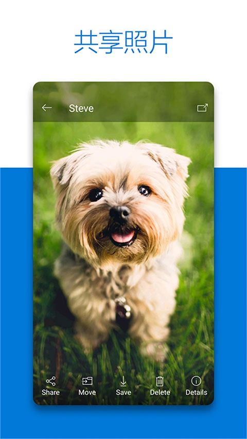 SkyDrive网盘APP
