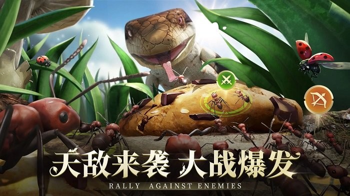 TheAnts游戏