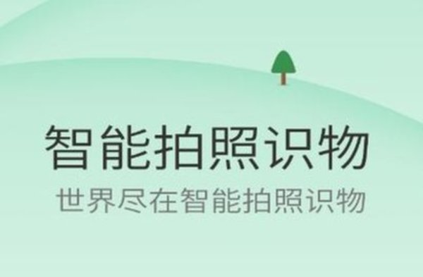 拍照识物软件哪个好