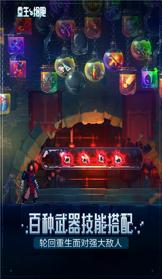 重生细胞不用实名认证版游戏