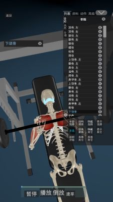 3d动态解剖APP