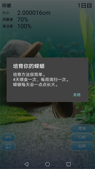 治愈的蝾螈游戏