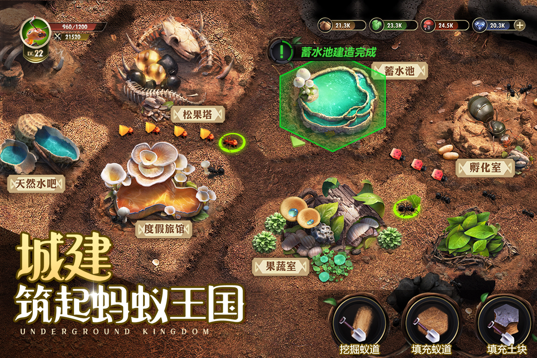 小小蚁国中文游戏