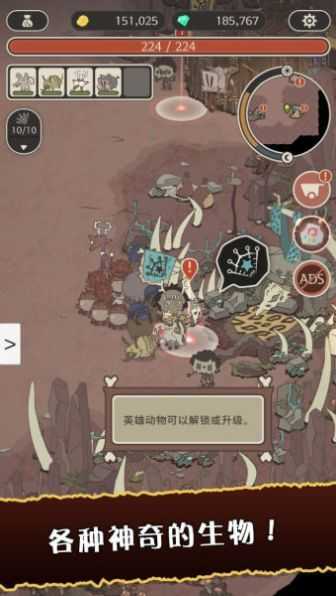 狂野驯兽师游戏