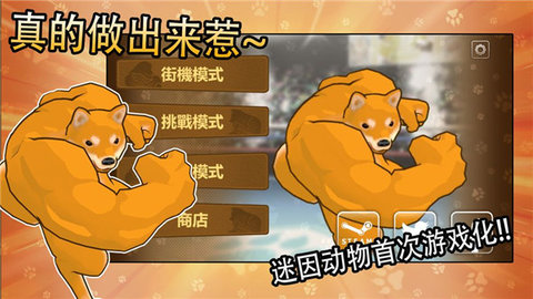 动物之斗手机版游戏