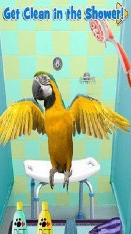新生宠物兽医游戏