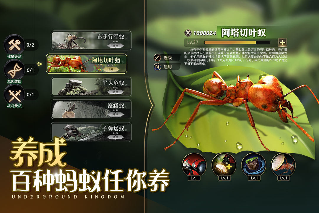 小小蚁国华为版游戏