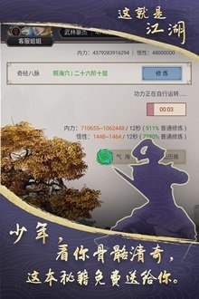这就是江湖国际版游戏