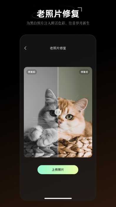 炫彩工坊APP