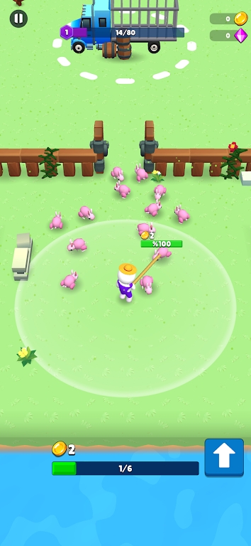 动物大混乱游戏