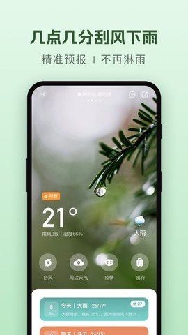 纯净天气预报APP