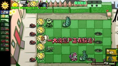 狂野植物战争游戏游戏
