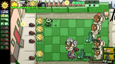 狂野植物战争游戏游戏