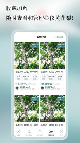 良木森林APP