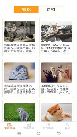 萌宠小能手APP
