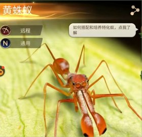 小小蚁国手游 第3张图