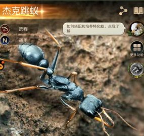 小小蚁国手游 第2张图
