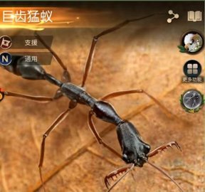 小小蚁国手游 第1张图