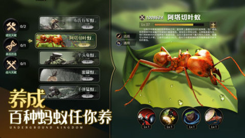 小小蚁国手游游戏