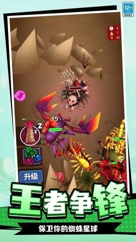 蛛蛛历险记游戏