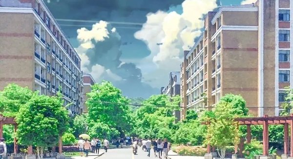 我的大学版本大全