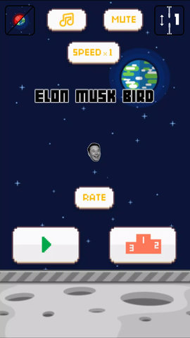 埃隆马斯克飞翔(elon musk bird)游戏