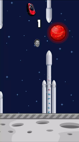 埃隆马斯克飞翔(elon musk bird)游戏