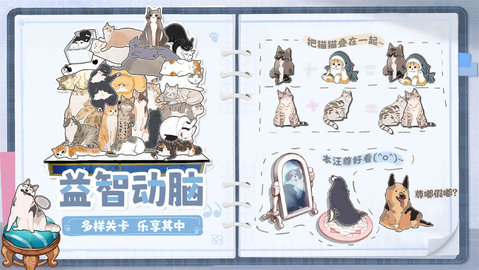 挤在一起的猫猫 第1张图